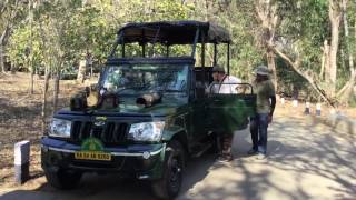 JLR amp Toehold Safari  Kabini [upl. by Leirda]