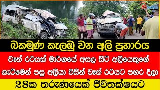 වෑන් රථයක් මාර්ගයේ අසල සිටි අලියෙකුගේ ගැටීමෙන් පසු අලියා විසින් වෑන් රථයට පහර දීලා [upl. by Adlesirk956]