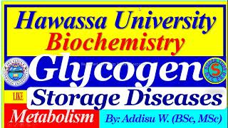 Glycogen Storage Diseases glycogenesis glycogenolysis glycogen metabolism [upl. by Studley552]