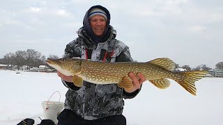 Ice Fishing with Tip Ups for Beginners [upl. by Ynohtnad]