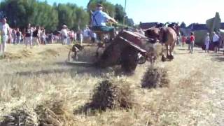 Eecke fête moissons 2009 moissonneuselieuse chevaux Mähmaschine reaperbinder [upl. by Hagood896]