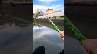 River Fishing Baits 🔥🤯 With Fishing Rod amp Reel Part 02। fishing fish shorts [upl. by Nauaj]