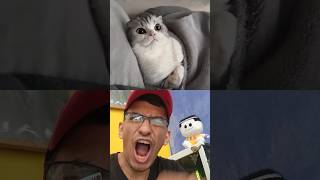 ESTO ES VERDADERO AMOR GATUNO shorts viral humor gatitos [upl. by Ocsicnarf218]