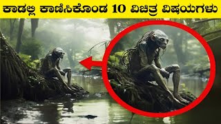 ಕಾಡುಗಳಲ್ಲಿ ಕಾಣಿಸಿಕೊಂಡ 8 ಮಿಸ್ಟಿರಿಯಸ್ ವಿಷಯಗಳುMysteries Things Found In ForestInteresting Facts [upl. by Marnie275]