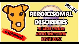 PEROXISOMAL DISORDERS PATHOGENESIS for Step 1 Biochemistry [upl. by Marketa503]