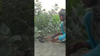 Village wali nagin oye hoye [upl. by Anoynek675]