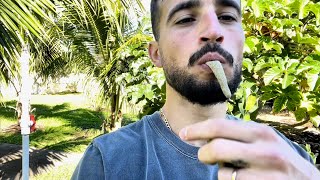 Coconut water and Cecropia Daily Pull Up Challenge Vlog Day 6 [upl. by Gabor]