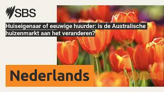 Huiseigenaar of eeuwige huurder is de Australische huizenmarkt aan het veranderen  SBS Dutch [upl. by Amaras]