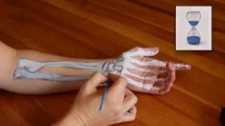 Anatomy Tutorial UNDERSTANDING CARPAL TUNNEL SYNDROME [upl. by Adialeda]