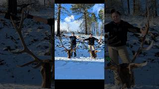 Doubled up mtnops sitka elk hunting oregon [upl. by Omoj]