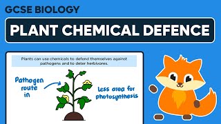 Plant Chemical Defence  GCSE Biology [upl. by Hgierb6]