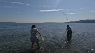 Fly fishing Vashon Island WA For Sea Run Cutthroat and Coho salmon [upl. by Refanej380]