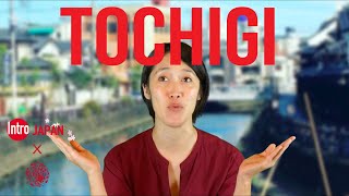 Introducing Tochigi in Collaboration with 47JB [upl. by Ecilayram650]