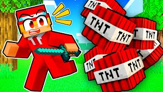 MINECRAFT But Its STREAMER VS VIEWER TNT GAME [upl. by Dewitt718]