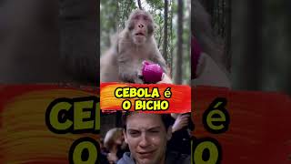 A cebola venceu o macaco [upl. by Jorrie557]