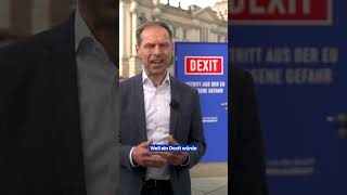 Dexit  INSMGeschäftsführer Thorsten Alsleben [upl. by Okika987]