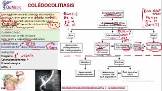 CIRUGÍA GENERAL 8 COLEDOCOLITIASIS [upl. by Langham343]