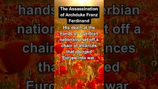 The Spark That Ignited WWI  Assassination of Franz Ferdinand shorts [upl. by Higginson736]