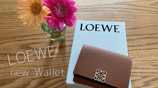 購入品 ロエベミニウォレットの紹介 LOEWEロエベ購入品紹介お財布紹介 [upl. by Ahsiea]