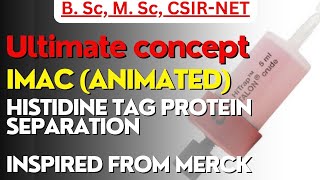 Immobilized metal affinity chromatography IMAC animation csirnet bsc msc cartoon [upl. by Attiuqehs]