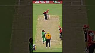 Best wicket taking moments shorts cricket edit psl cricketclub cricketlover indvsban [upl. by Healey]