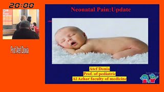 Neonatal Pain update Prof Atef Donia [upl. by Udell766]