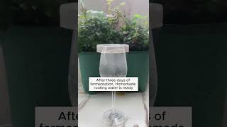 baking soda and vinegar help plants grow better garden gardening plants [upl. by Eiuqnom]