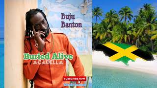 Link in description Buju Banton  Buried Alive Acapella 2020 [upl. by Aigneis609]