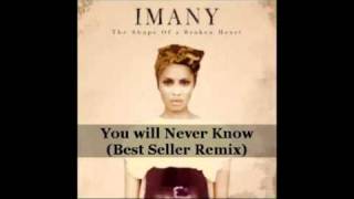 Imany  You Will Never Know Best Seller Remix [upl. by Ayekahs]