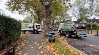 BRAND NEW TRUCK And service IsuzuTerberg Orus Refuse Truck on food wasteMFJ on garden waste [upl. by Ad]