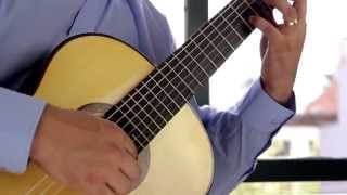 Milonga  Jorge Cardoso David Sossa Guitar [upl. by Schilling541]