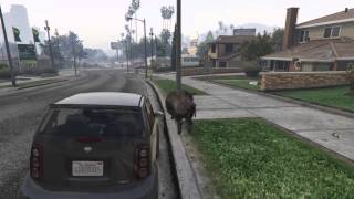 Gta v animal trip shroom location [upl. by Citarella]