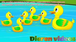 Alle eendjes zwemmen in het water  Kinderliedjes van vroeger [upl. by Japeth]