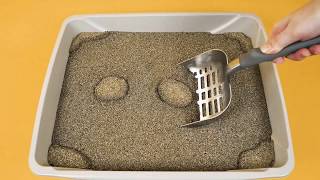 How to Use ARM amp HAMMER™ SLIDE™ Cat Litter [upl. by Alset138]