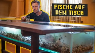 DIY Aquarium Tisch [upl. by Airat323]