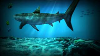 Shark Pack For Ocean HD Live Wallpaper [upl. by Akeenat]