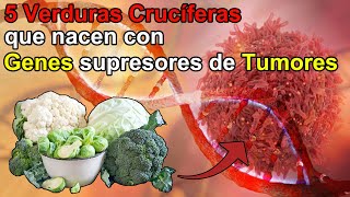 Los Mejores 5 Verduras Anticancerígenas que tienen Genes Supresores de Tumores y Cáncer [upl. by Enyleuqcaj864]