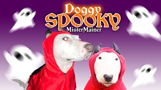 Doggy Spooky Music Video  MisterMainer [upl. by Ploch]