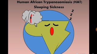 Human African Trypanosomiasis HAT Tbrucei مرض النوم [upl. by Muirhead]