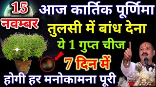 15 नवंबर कार्तिक पूर्णिमा के दिन तुलसी के पौधे में बांध देना ये 1 गुप्त चीज इतनाधनप्रप्तिकेउपाय [upl. by Fawcett24]