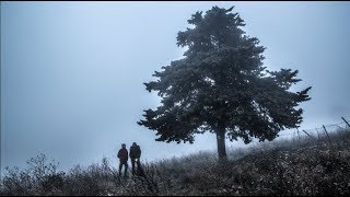 FOTOGRAFARE CON LA NEBBIA • Fotografia [upl. by Rihsab410]