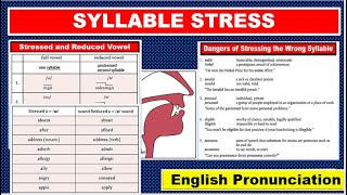 SYLLABLE STRESS  Stressed and Reduced Vowel  CONSONANT SOUNDS  Mastering the American Accent [upl. by Anirbac]