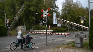 Spoorwegovergang Gronau D  Railroad crossing  Bahnübergang [upl. by Lister]