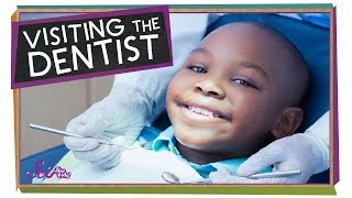 Visiting the Dentist  Health for Kids  SciShow Kids [upl. by Aneelad366]