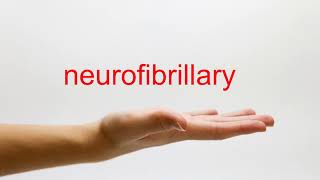 How to Pronounce neurofibrillary  American English [upl. by Demakis]