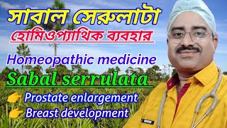 Homeopathic medicine sabal serrulata  sabal serrulata q  sabal serrulata homeopathy in bangla [upl. by Gisser732]