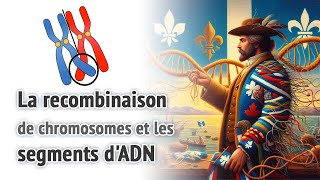 La recombinaison de chromosomes et les segments dADN [upl. by Anilesor]