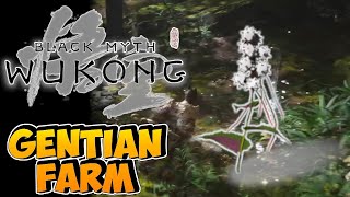 Gentian Farming Guide  Black Myth Wukong [upl. by Eessac]