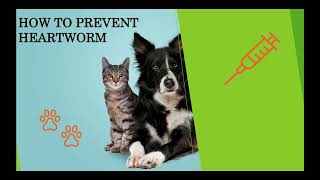 Heartworm prevention [upl. by Hayden]