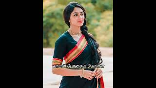 💚💞🧡seetharaman movie song pvedits [upl. by Ordnagela]